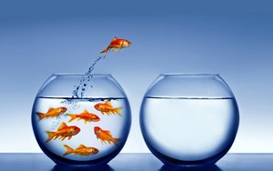从粗放到精细：Query理解的管理升级